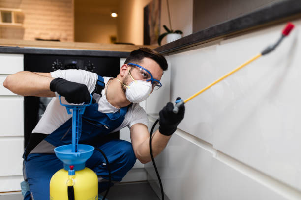 Best Emergency Pest Control  in Staunton, VA