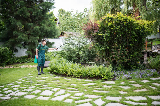 Trusted Staunton, VA Pest Control Experts