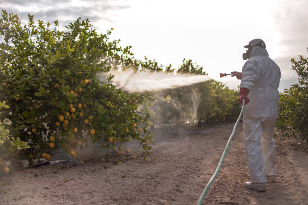 Best Exterminator Services  in Staunton, VA