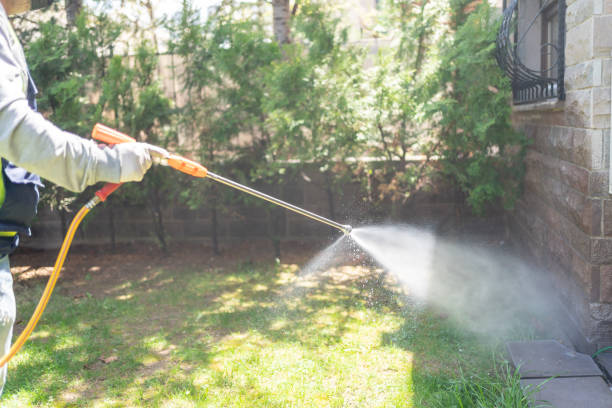 Best Affordable Pest Control Services  in Staunton, VA