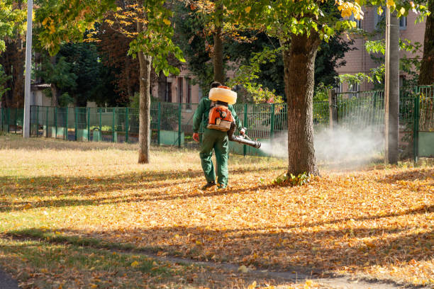 Best Affordable Pest Control Services  in Staunton, VA