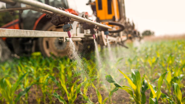 Best Ant Control Services  in Staunton, VA