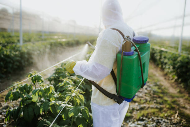 Best Pest Control Near Me  in Staunton, VA
